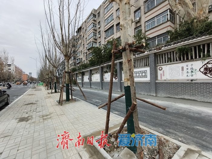 山大南路道路升级完成 书香大道焕新赋能泉城交通