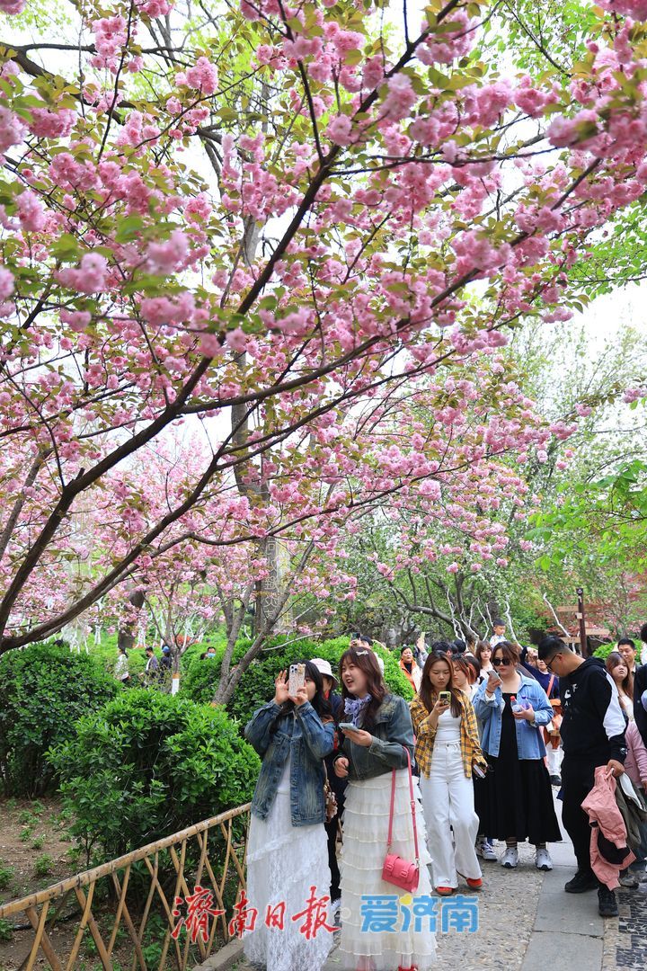 假期最后一天，济南这些地方不要错过！