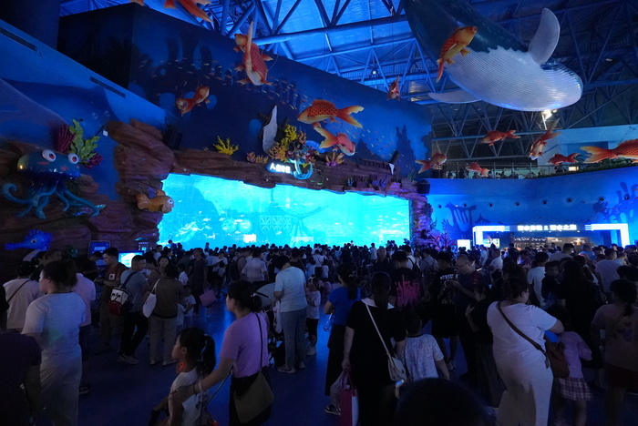 暑期接近尾声 游客“海底”觅清凉