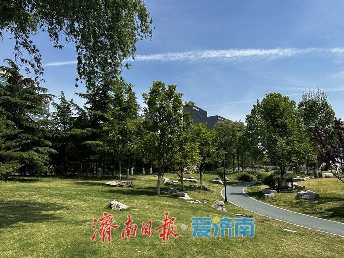 近郊露营“一位难求”？济南市区就有块人少好停车的“宝藏”绿地