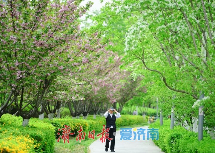 一年四季 泉在济南丨济南中央商务区绘就春日画卷