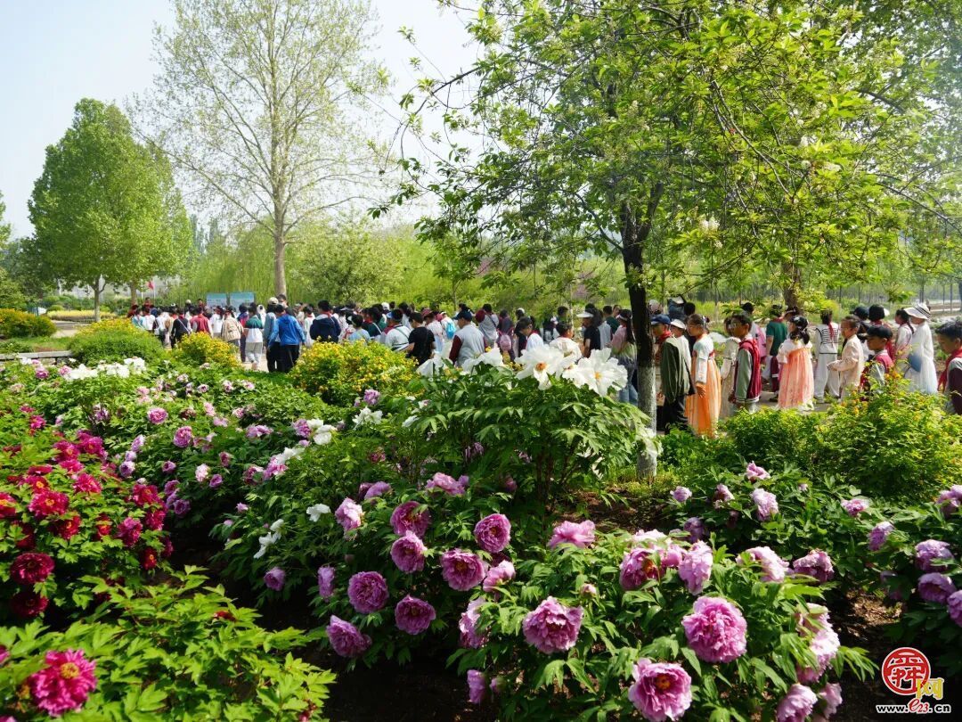 “绿满齐鲁 ——‘森’临其境·守护地球”