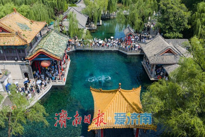 一年四季 泉在济南丨舒适度拉满！初秋趵突泉成暑期出游热门打卡地