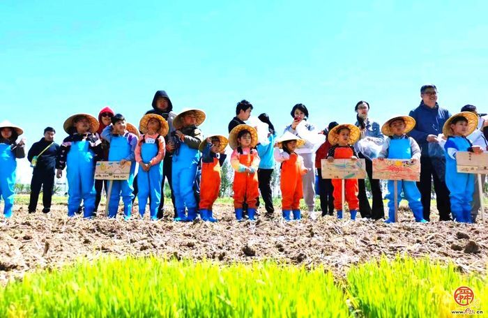 走！去槐荫，当一天“城市农夫”