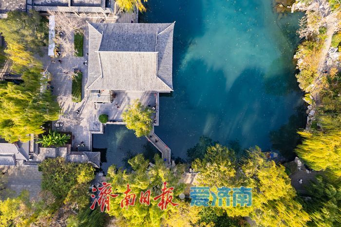 初冬时节，五龙潭公园色彩斑斓景致如画