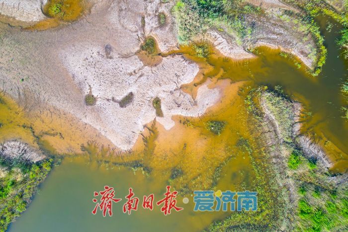 沉砂池化身“滨水湿地” 滩涂纹理如大地版画