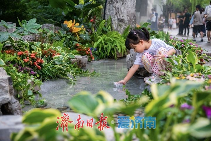 清风携水雾，景致再焕新！趵突泉解锁夏日泉水纳凉新体验