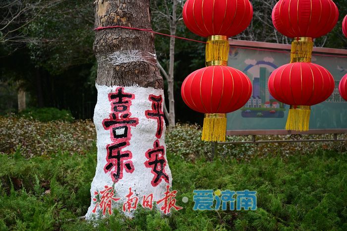 一树一画一风景 花圃公园解锁游园新乐趣