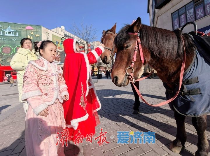“马甲”上树 “骏马”奔腾 印象济南·泉世界“马”元素迎新春