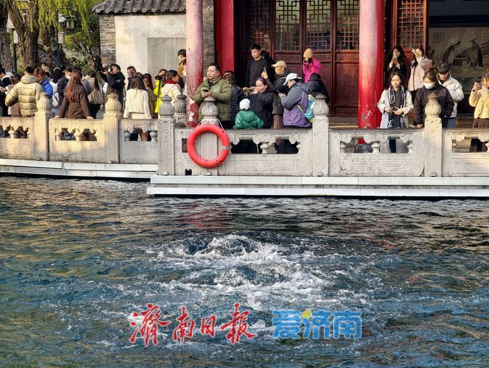 一年四季 泉在济南丨趵突泉畔冬日醉游人，今起气温再“跳水”