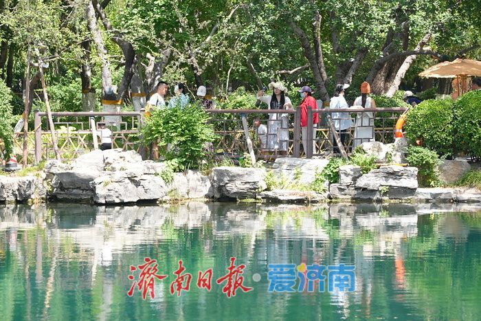 一年四季 泉在济南丨泉涌小满夏意浓