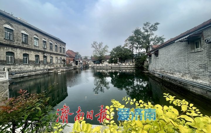 一年四季 泉在济南丨秋染泉池 静美如画
