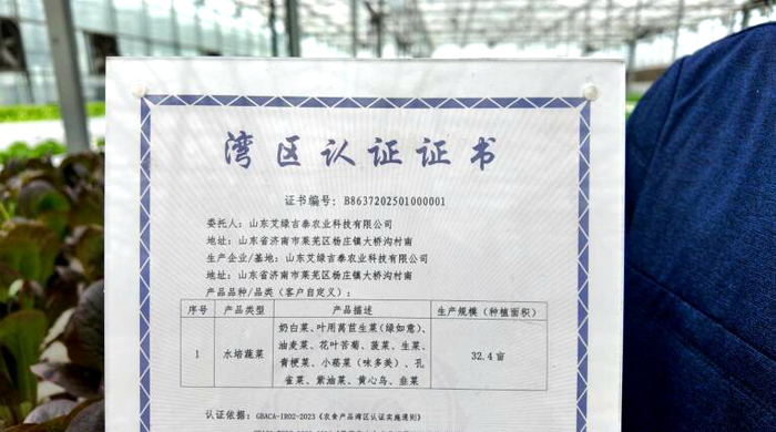 喝纯净水、住阳光房，济南蔬菜拿下北方地区首张“湾区认证”