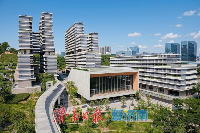 天津大学香港理工共建深圳未来技术学院 山东纳入首批招生范围