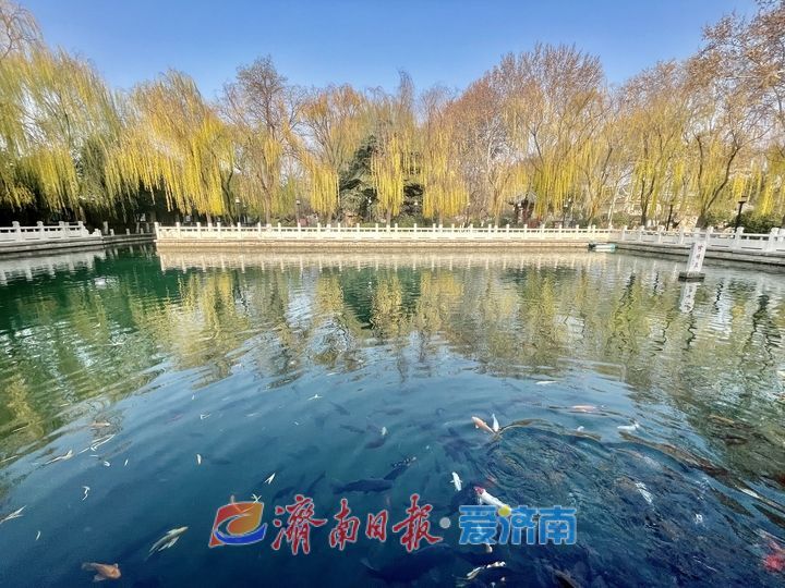 冬赏珍珠泉