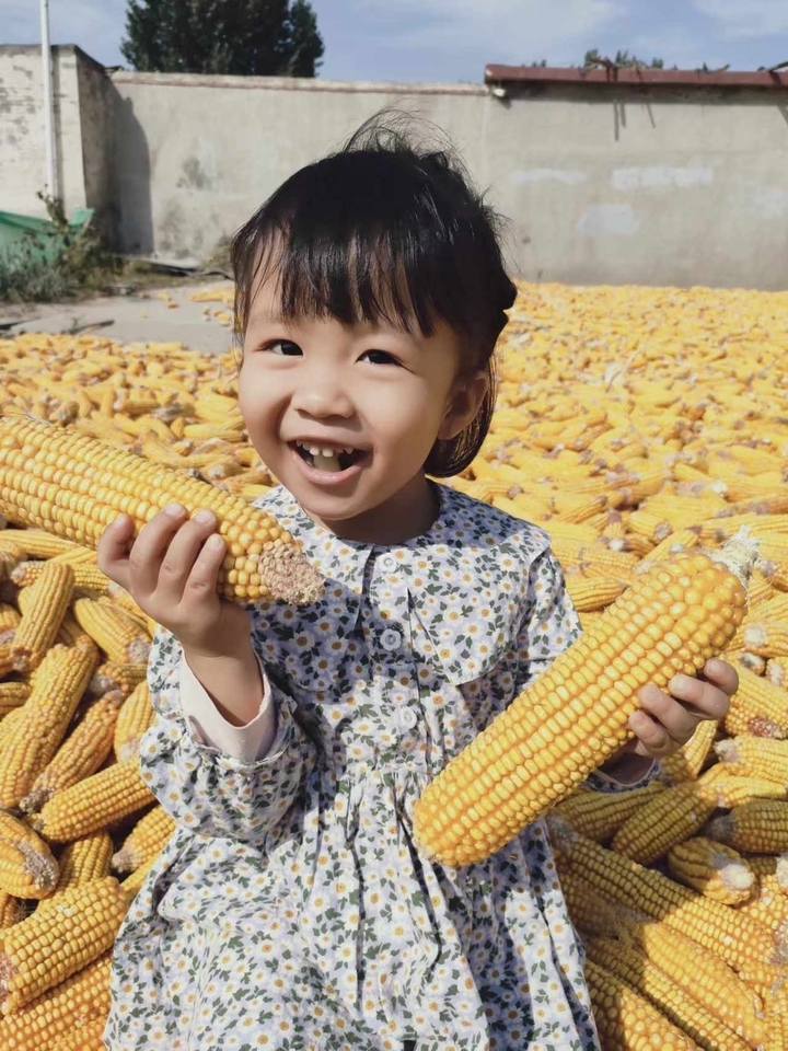 重阳节“神秘嘉宾”来袭！蒙润幼教集团奏响暖心旋律