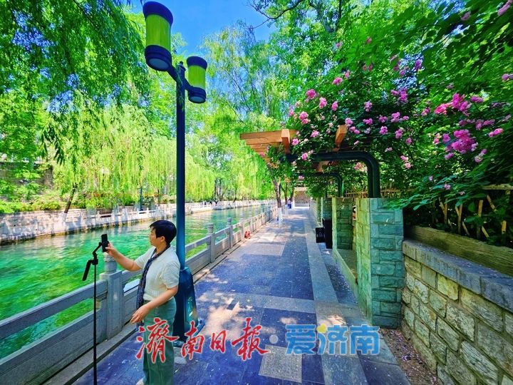 一年四季 泉在济南丨繁花映碧水 美景入画来