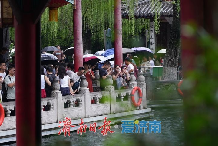 一年四季 泉在济南｜烟雨“济南府”赛江南 雨中泉水游别样体验
