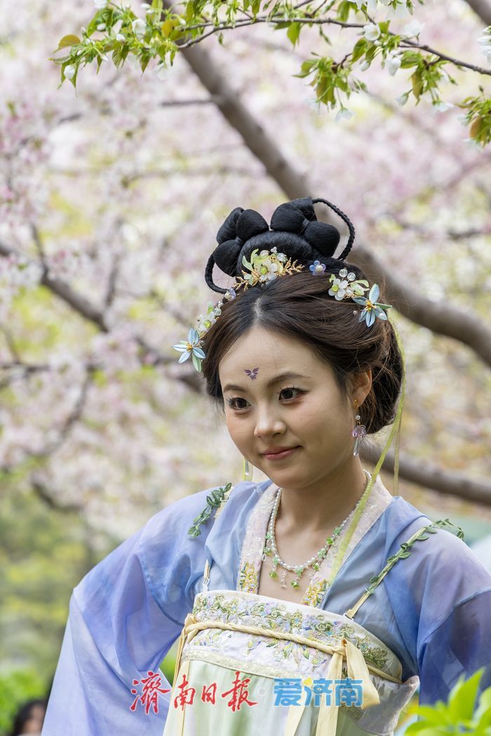 一年四季 泉在济南丨樱花海棠相竞艳，泉城春色醉游人