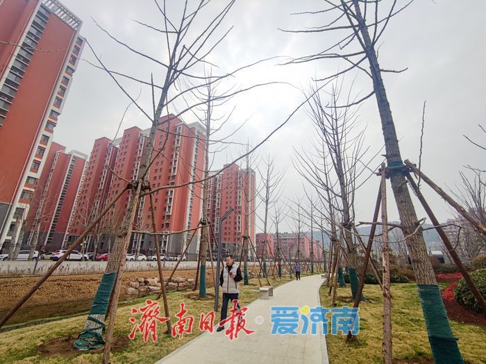 济南腊山河西路南延段滨水景观带成市民休闲新去处