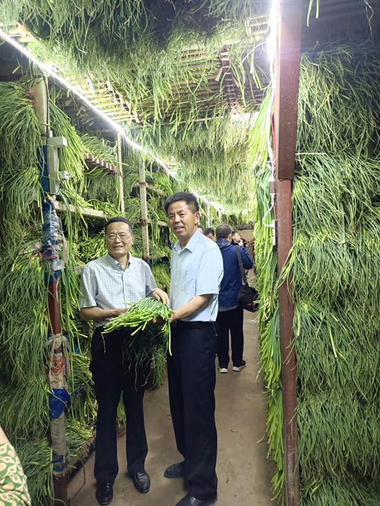 用热爱书写希望的田野——“谁不说俺家乡好”采风活动结硕果（图10）