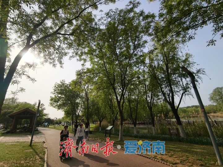 济西湿地春和景明 市民乐享自然野趣