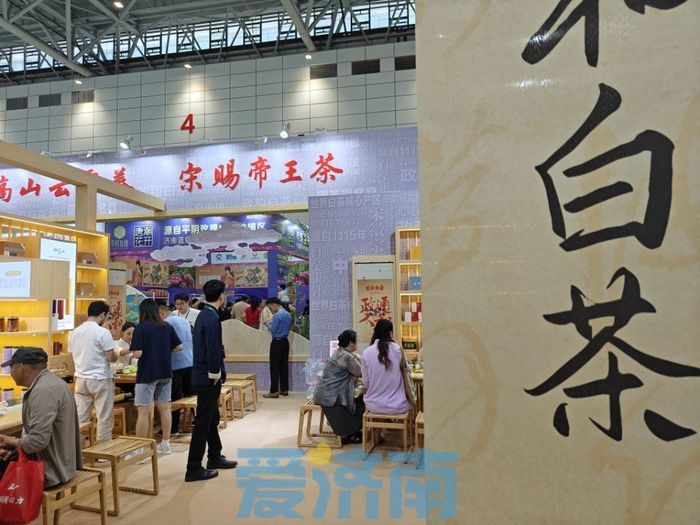 新朋旧友齐聚济南！关于济南茶博会，茶商有话说