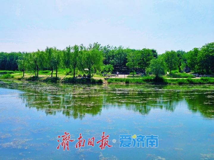 水清岸绿景怡人 睦里闸邂逅初夏生态美景