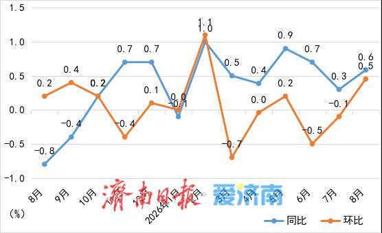 8月份济南居民消费价格同比上涨0.6%