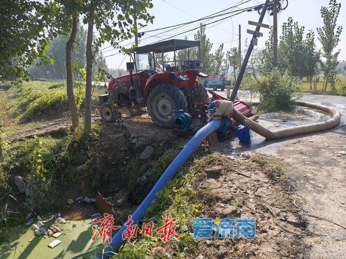 雨水浸泡农田，农户挥汗抢收——直击槐荫区郑家店村大豆抢收现场