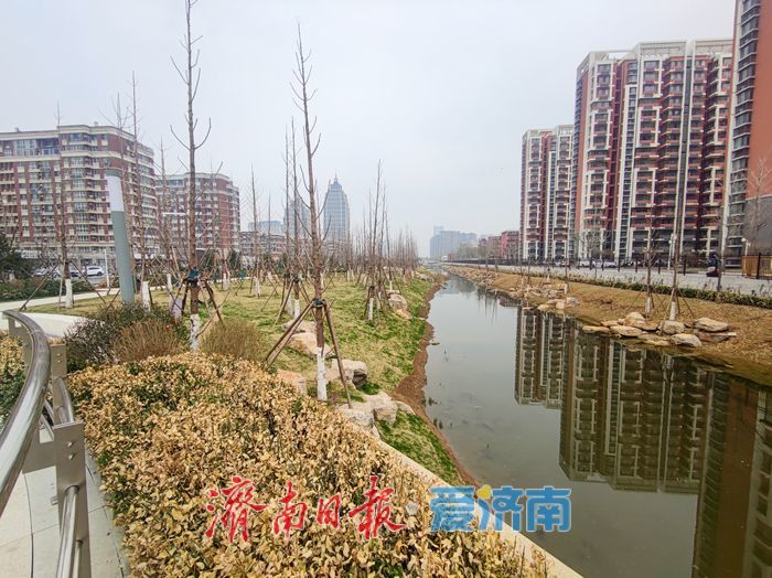 济南腊山河西路南延段滨水景观带成市民休闲新去处