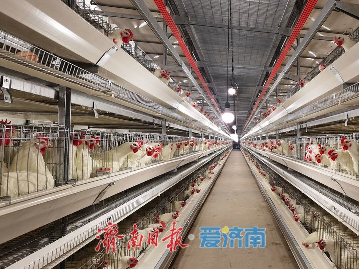 一个制种大县、两家“国字号”基地、176家持证企业——济南种业，破芯而出