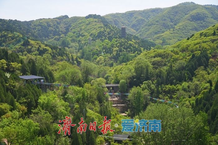 济南红叶谷 山水之间畅享“速度与清凉”！