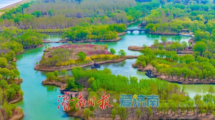 一年四季 泉在济南丨泉城晴空万里 济西湿地焕生机