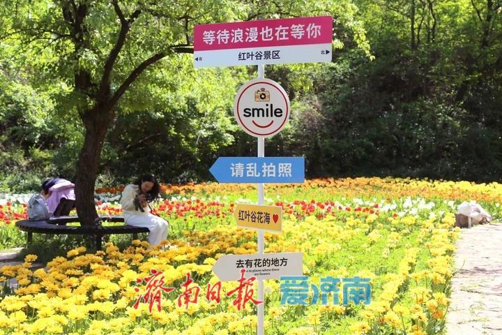 五一畅玩红叶谷 花海+套票一键解锁