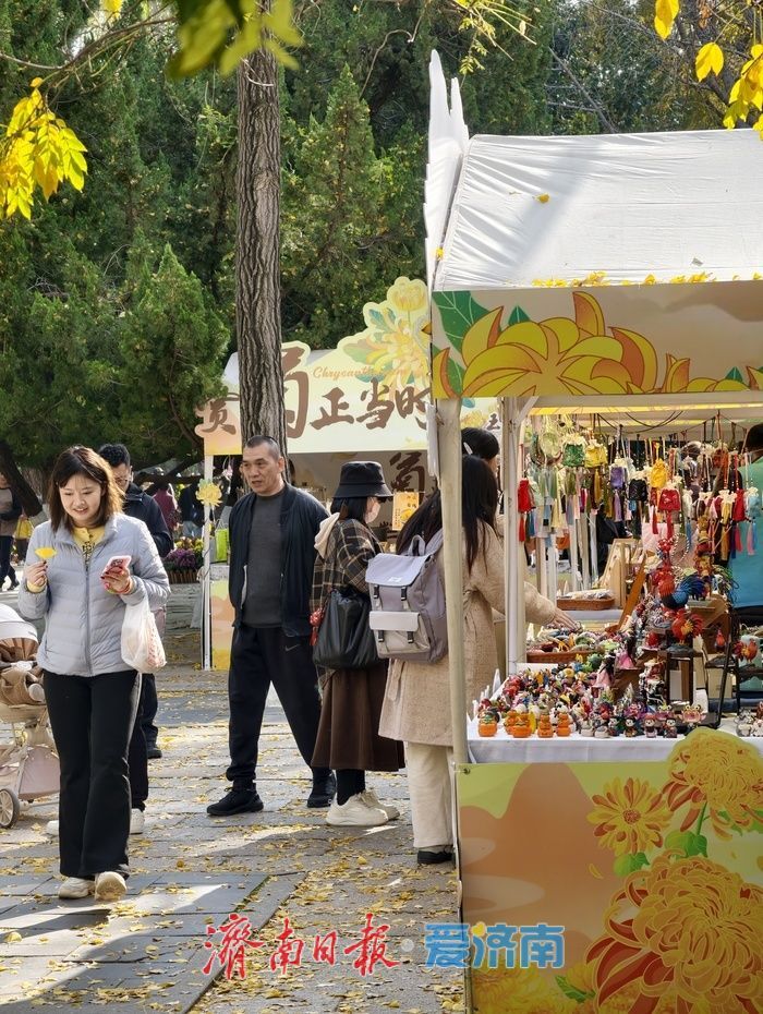 菊香引路，趵突泉畔“玉露雅集”乐享多元体验