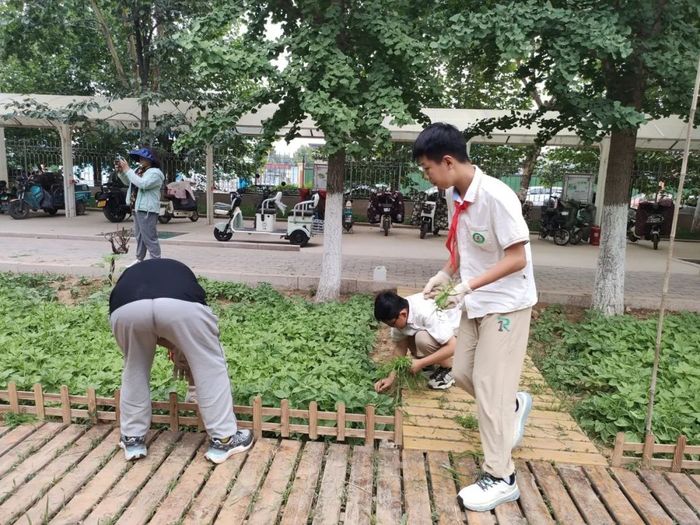 高新区科航路学校的劳动教育上到了学生心坎里