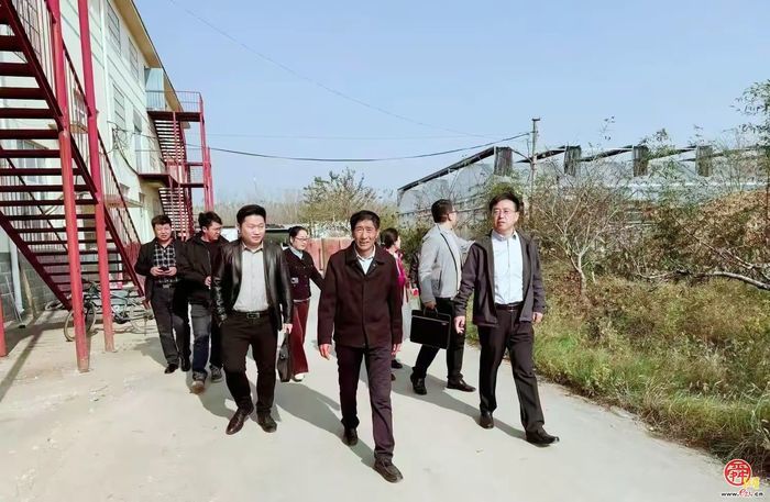 章丘圣井街道：农业之花绽放在耕耘里