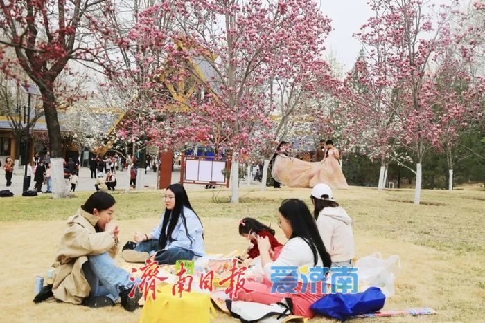 看玉兰花，还有济南植物园