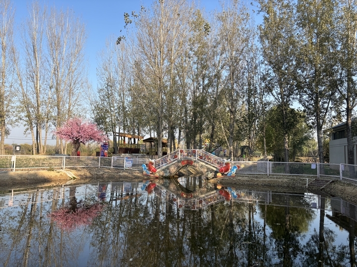 这个村的顶级锦鲤“能换一栋楼”，胖锦鲤牵头串起强村产业链