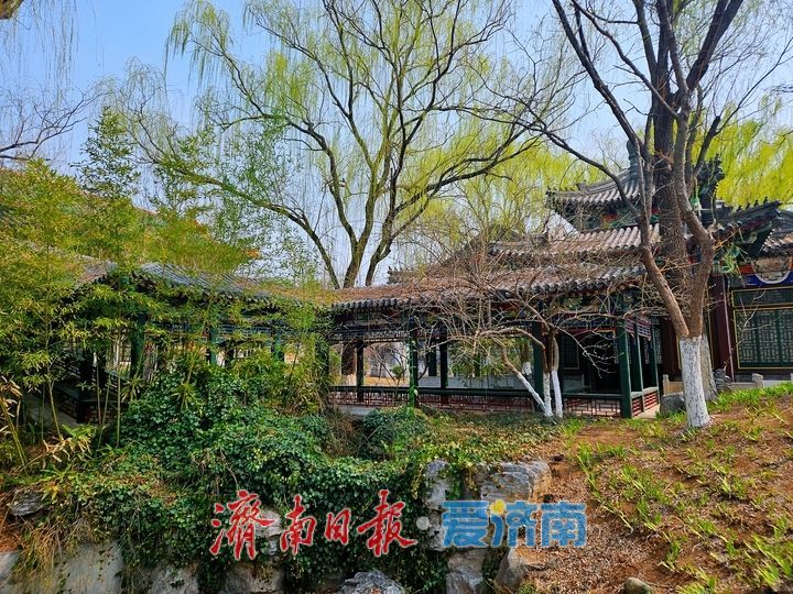 一年四季 泉在济南丨春水映花柳色新 济南园博园迎来踏青赏花好时节