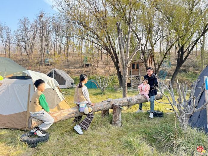 入野入乡入生活：槐荫的“一帐”温柔