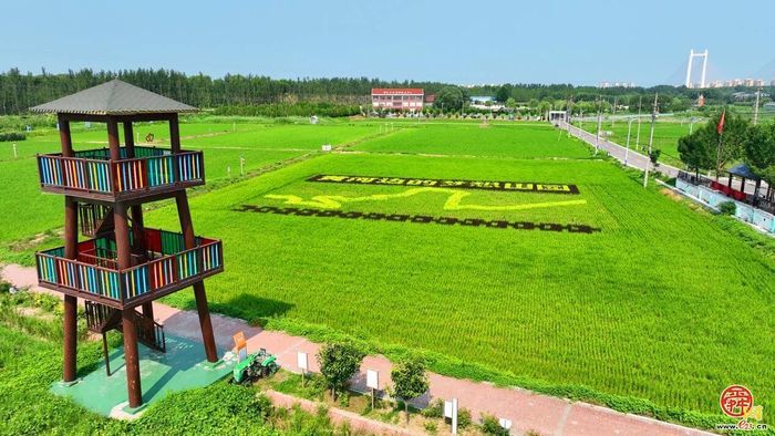 奔跑在黄河岸边的生态长廊，吴家堡高质量发展的新密码