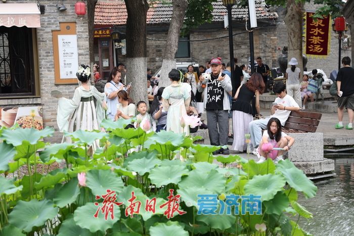 一年四季 泉在济南丨百花洲荷风泉韵引游人消暑赏景