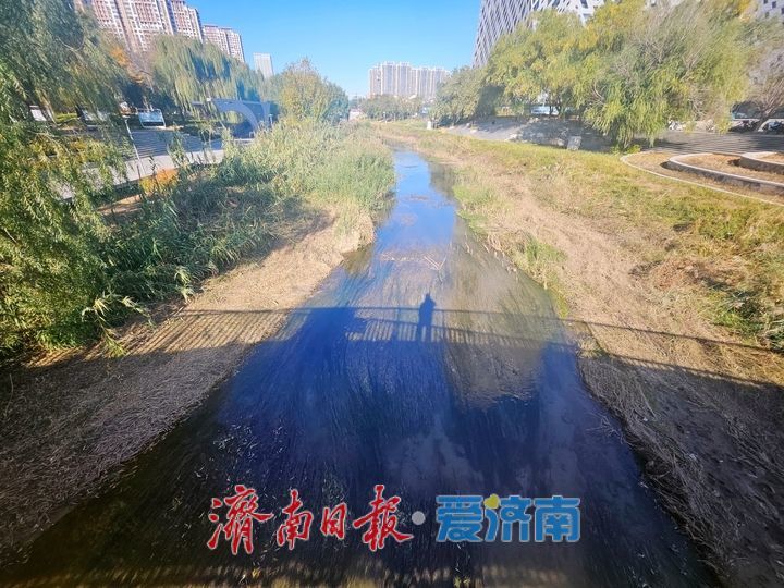 一年四季 泉在济南｜腊山河公园初冬美景惹人醉