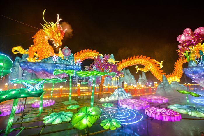 假期客流突破270万、营业收入近1.7亿元 槐荫假日经济人气旺 市场兴