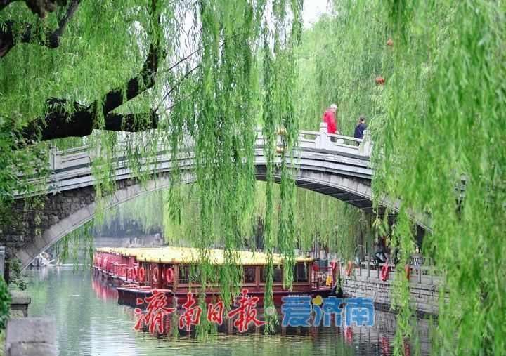 雨助泉涌，济南黑虎泉水位一夜攀升7厘米