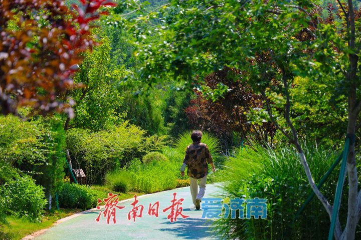 满目青翠入画来！佛慧山生态廊桥铺就泉城生态绿廊