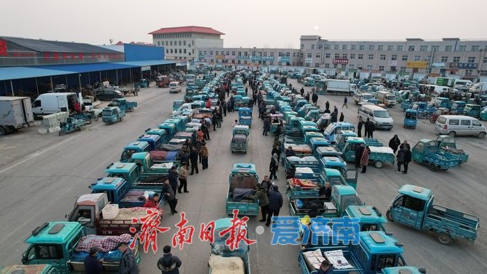 晨光下的车水马龙：黄瓜批发市场开市忙