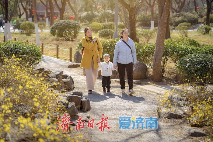 一年四季 泉在济南丨迎春花、玉兰、梅花竞相绽放，泉城公园一派春意盎然